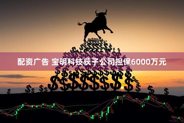 配资广告 宝明科技获子公司担保6000万元