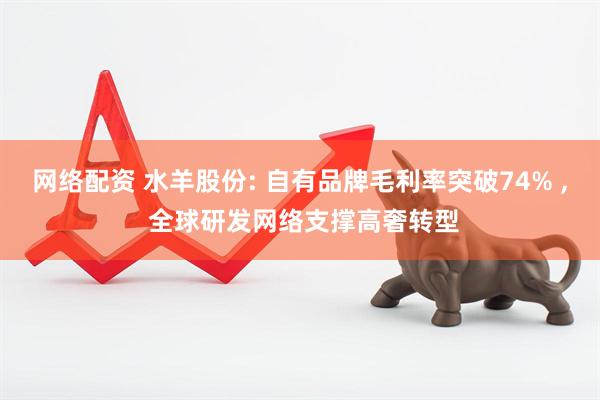 网络配资 水羊股份: 自有品牌毛利率突破74% , 全球研发网络支撑高奢转型