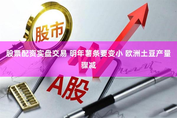 股票配资实盘交易 明年薯条要变小 欧洲土豆产量骤减