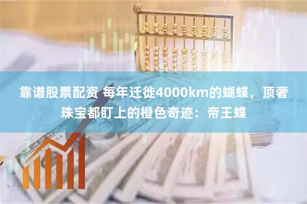 靠谱股票配资 每年迁徙4000km的蝴蝶,顶奢珠宝都盯上的橙色奇迹:帝王蝶